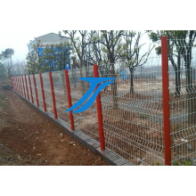 Ts-Security Fencing Double Wire Mesh Steel Garden Fence